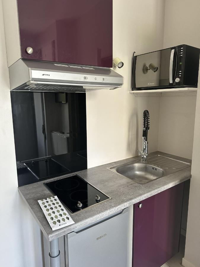 L'Oasis Cosy Lejlighed Villeurbanne Eksteriør billede