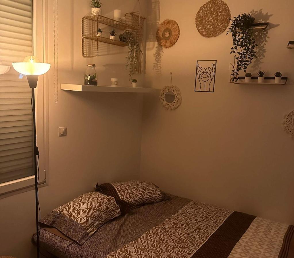 L'Oasis Cosy Lejlighed Villeurbanne Eksteriør billede